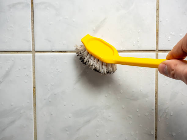 Best Affordable Mold Removal  in Pquemine, LA