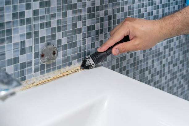 Best Emergency Mold Removal  in Pquemine, LA